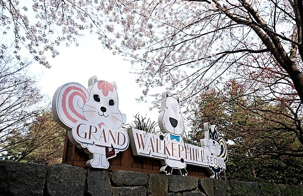 korea_health's tweet photo. Korea Cherry Blossom Viewing Walker Hill
Every spring, #WalkerhillHotel, which shows the #beautifulspring of full bloom and Achasan, is a city-center hotel that is full of #springcherryblossoms.
It is a hotel where foreign tourists stay for #cherryblossomviewing.
#koreahealthtour https://t.co/6rxDyv65rq