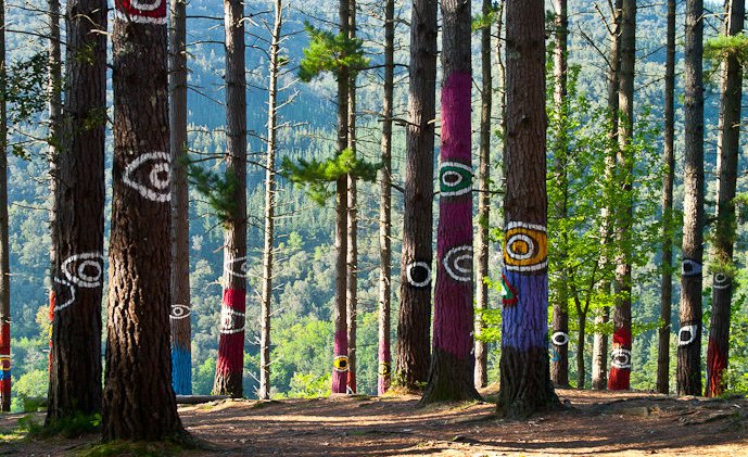 La enfermedad de los pinos obliga a cerrar el bosque de Oma naiz.eus/eu/actualidad/…