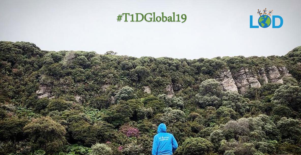 Diathlete's tweet photo. A team of international type 1 'diadvocates' in LOD are heading out to the rainforest for a trek challenge in #T1Dglobal19 &amp; documenting about #t1d &amp; hypoglycaemia impact (shared on #wdd2019), most importantly rasing funds for @SoniaNabetaFDN &amp; @DYC_Ghana https://t.co/NKwqufmVXV https://t.co/dN6w8FiexD