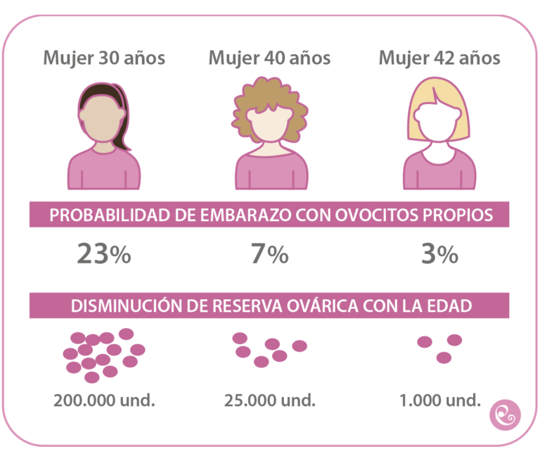 Anacer Reproduccion tweet media