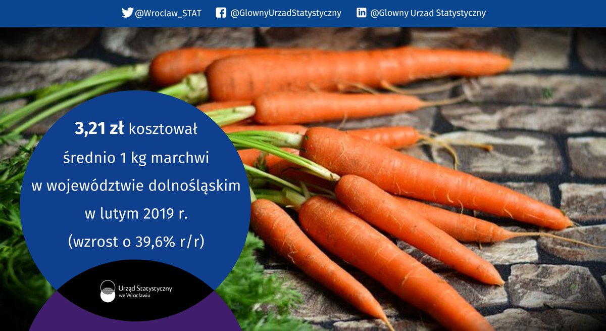 Wroclaw_STAT's tweet image. Dziś #DzieńMarchewki  🥕 W lutym br. #marchew najdroższa była na #DolnyŚląsk – 3,21 zł, a najtańsza w #Małopolska – 2,55 zł. #ciekawostki #ceny #BadaniaAnkietowe