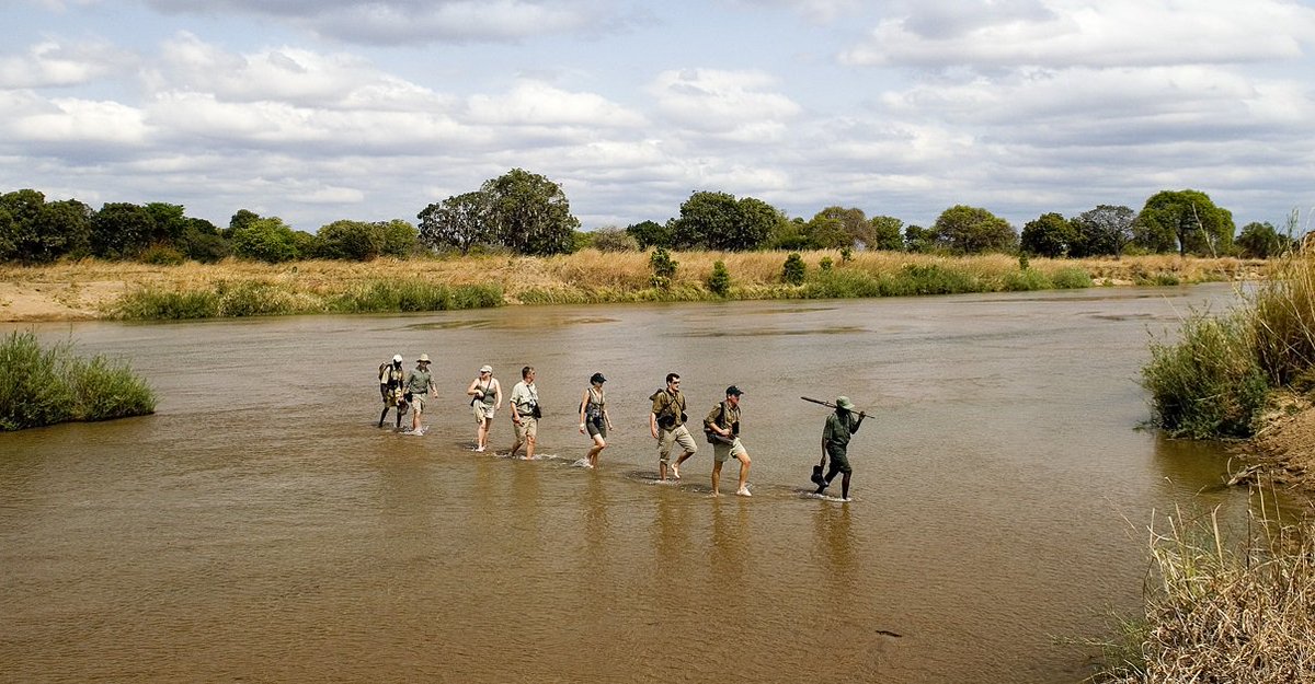 YZsafaris's tweet photo. We are hiring!!!! πββοΈππ We are looking for a Product & Systems Analyst to join the team here at Yellow Zebra: https://t.co/TH1tsJK5p8
#JobOpening #hiring #wearehiring #jobseekers #jobs #traveljobs #analystjobs #systemsjobs https://t.co/5x8VvsSqoj