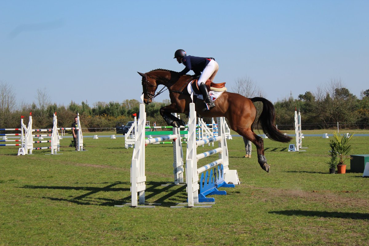 FFEquitation's tweet photo. Ce weekend, le circuit Top 7 de la @FFEquitation, réservé aux #chevaux de 7 ans, a fait étape à Cagnes-sur-Mer et Deauville en saut d'obstacles, et à Tartas en concours complet.
Retour sur ces étapes
➡️ CSO : https://t.co/La0qcASqhY
➡️ CCE : https://t.co/xU7OnvvWbA
#équitation https://t.co/msz1H0rcLA