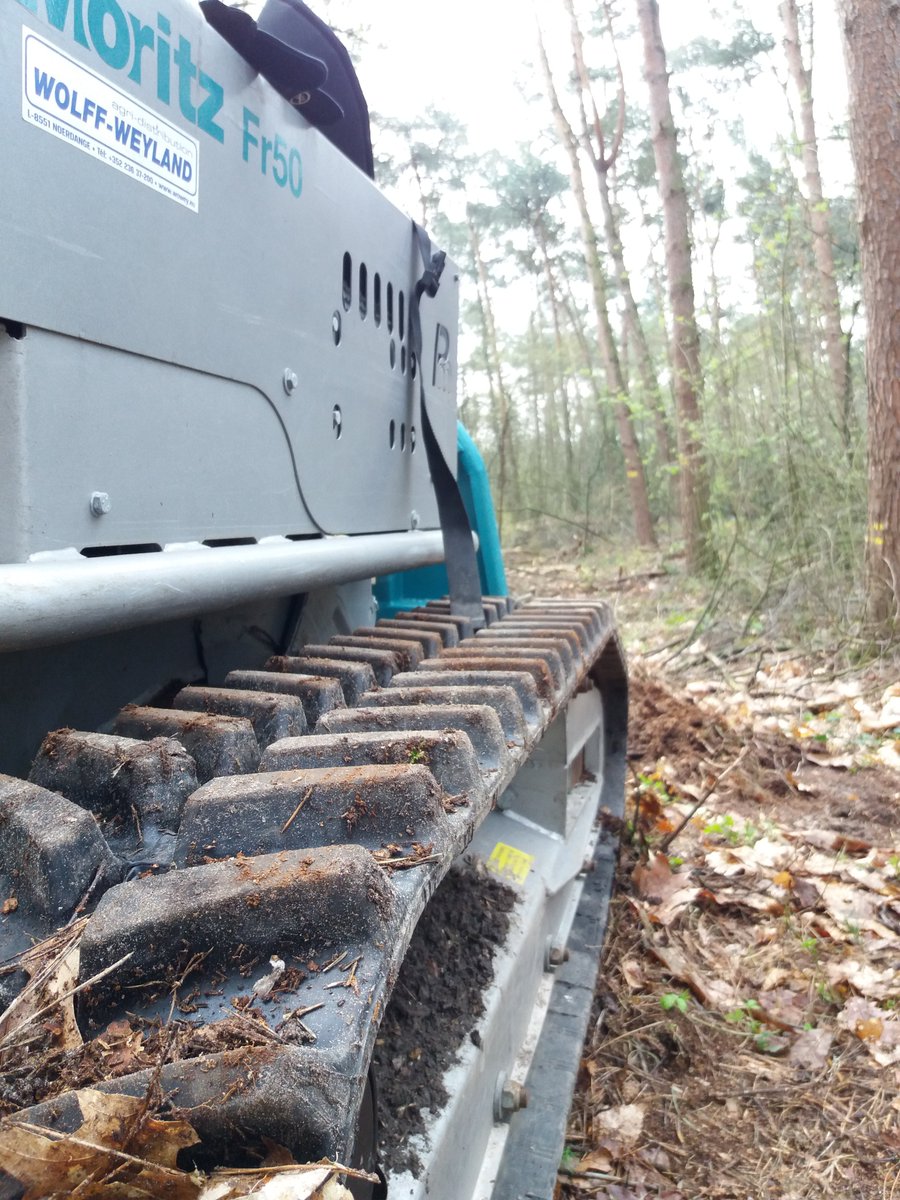 Volgende stop #kennisdageco2eco over #exploitatie. Onder andere #bodemverdichting en het zoveel mogelijk beperken daarvan, bijvoorbeeld via het aanleggen van #dunningspaden. Waar selecteer je dan idealiter je #toekomstboom? En welke afstand tussen de dunningspaden is dan ideaal?