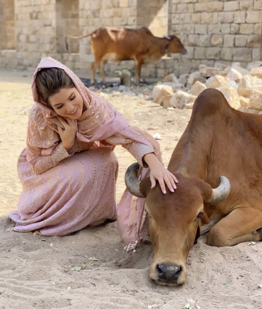 mediocregandhi's tweet photo. Someone tell Amanda she’s in India not Pakistan https://t.co/5udEsLEGHk