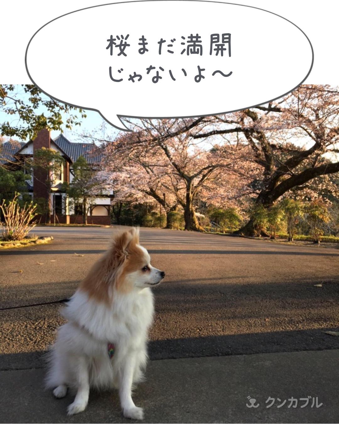 横顔は沢尻エリカ Twitter Search Twitter