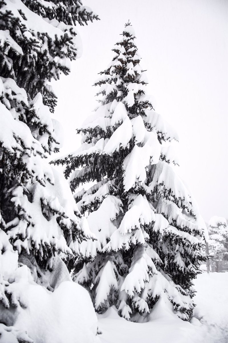 ☀️Serre Chevalier Vallée Briançon ❄️ tweet media