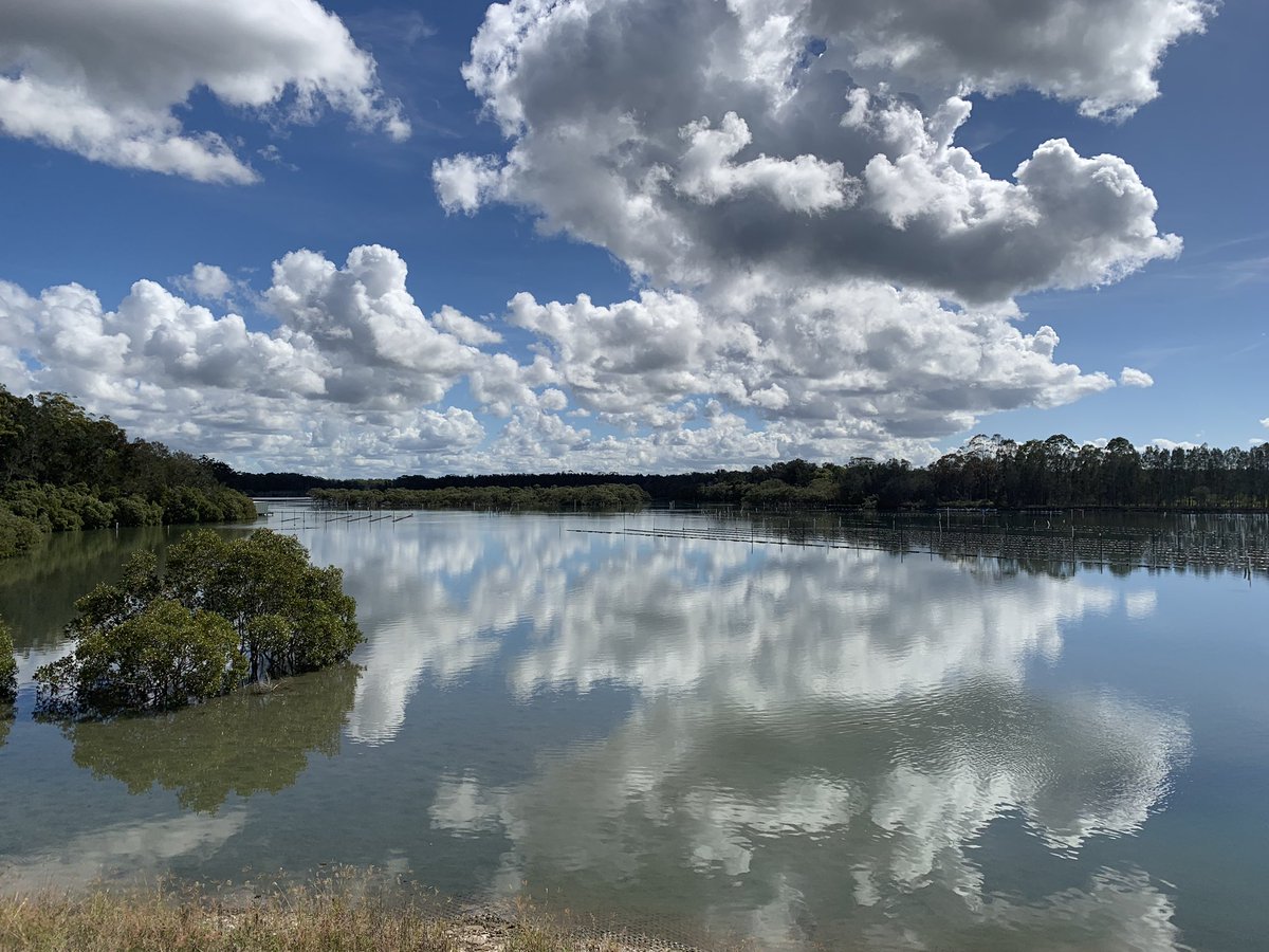 Andy_Myers79's tweet photo. Great turn-out &amp; good weather for the Hastings River oyster farmers shed day #oysterfarmers #hastingsriver #aquaculture #everyonelikessausages @OceanWatch_OZ https://t.co/hLH41nH7GN
