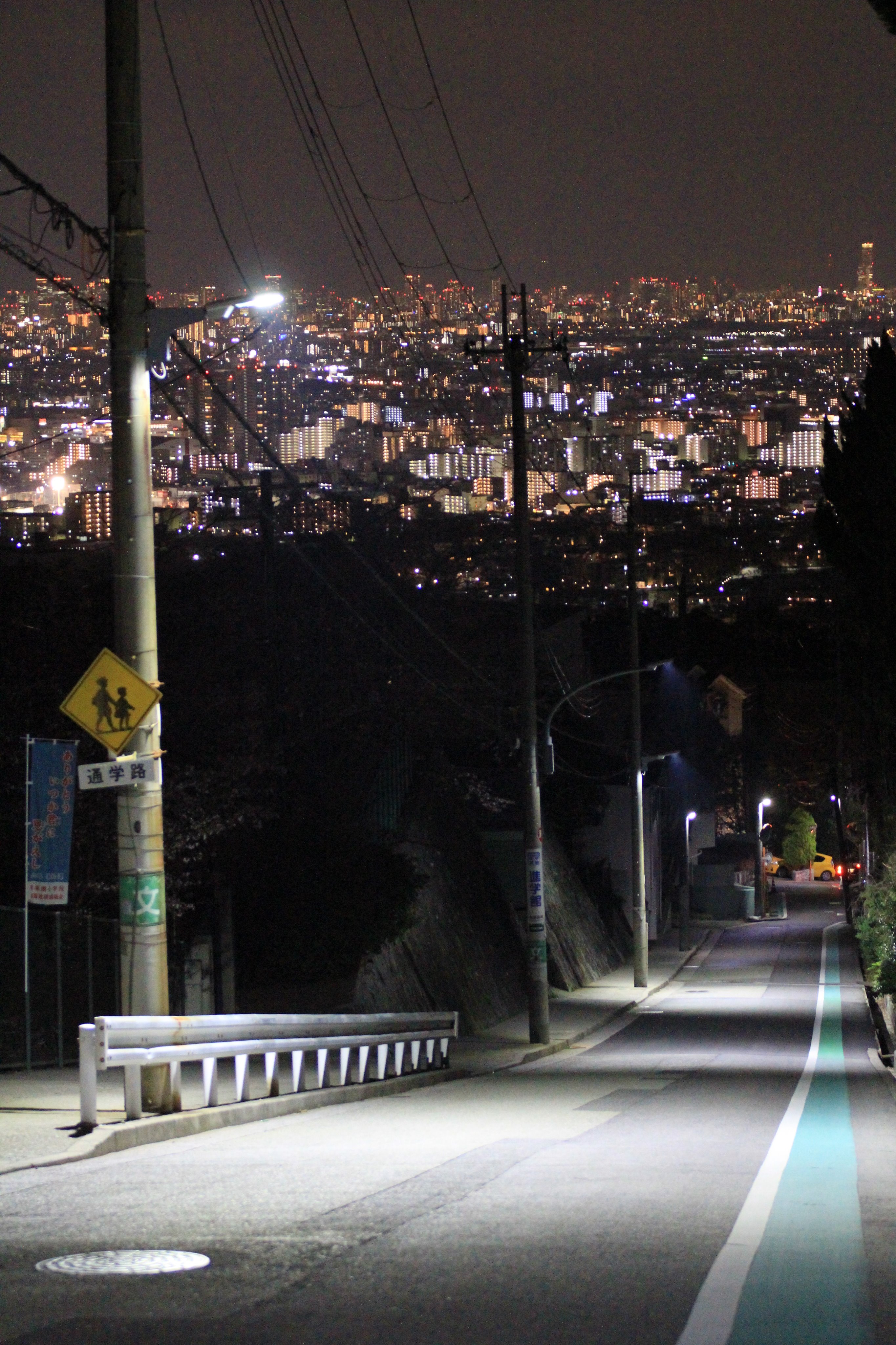 Koseiji 在 Twitter 上 兵庫県立西宮北高校前の坂道 通称 ハルヒ坂 の夜景 涼宮ハルヒの憂鬱 アニメ 放送時から行ってみたいなぁと思っていましたが あれからもう何年ですかね やっと見に行けました ここまでの 強制ハイキングコース の疲れもぶっ飛ぶ