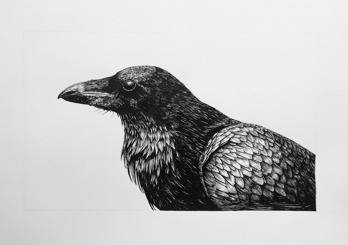 AtelierGeeraets's tweet photo. Hoi! Ik werk graag in opdracht. Dus als je iets getekend wil hebben in kleur of zwart wit. Dat kan dus gewoon. (Ter illustratie - haha) https://t.co/zPZlWaRU9a