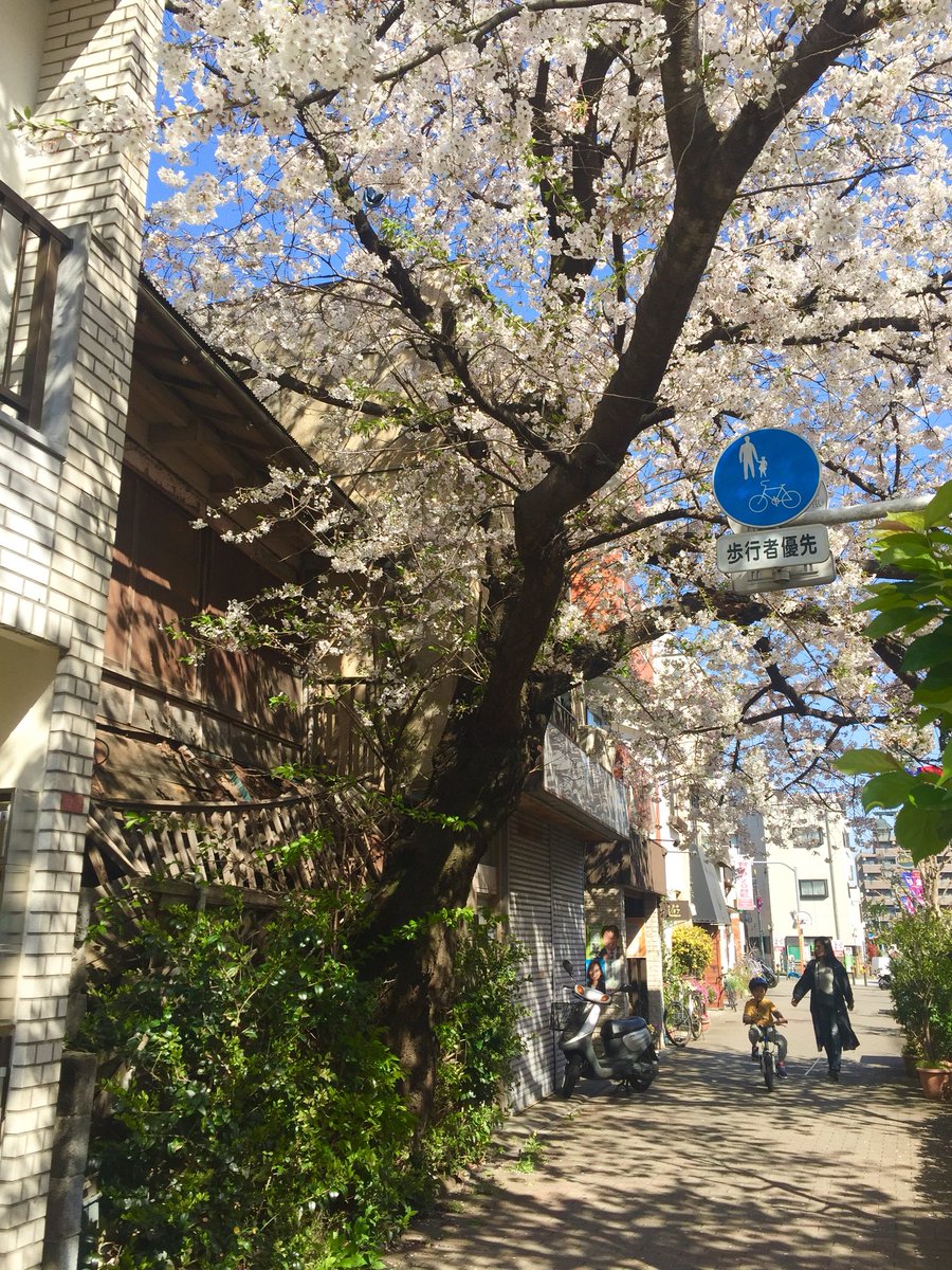 MONA BAR TOKYO tweet media