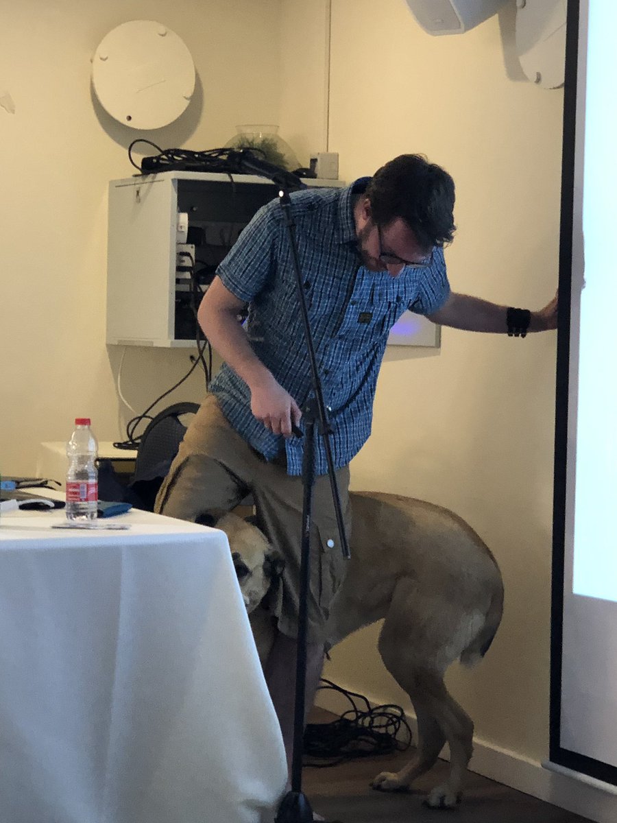 alonheller's tweet photo. It’s mobx integrated with dogx 🐶
#yglf19 @YGLF_IL @mweststrate https://t.co/EiGaAf0ksd