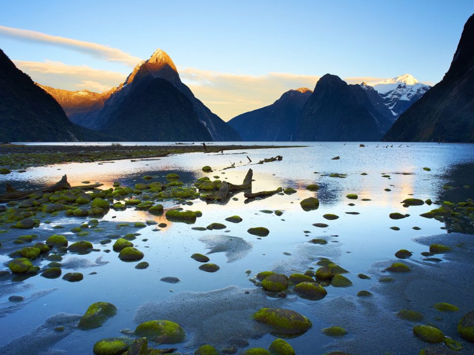 traveltrait's tweet photo. Milford Sound, New Zealand 🇳🇿 https://t.co/BIQDL8Awlk