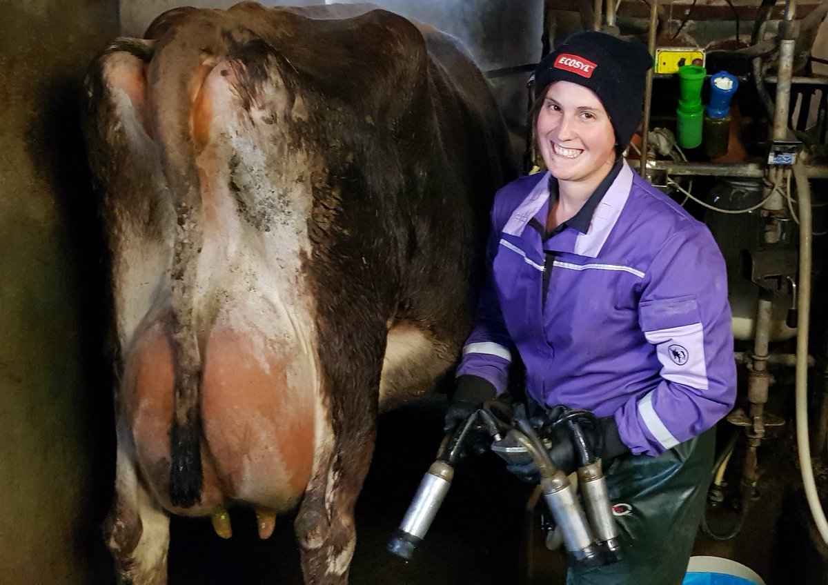VickyDimond_97's tweet photo. Wow I'm very honoured to be a Brand Ambassador for @3donkeysltd . Amanda has designed these amazing coveralls. I have been work in them for over a month, from milking my cows, seeing over 1000+ ewes and lambing they have keep me clean, warm and very comfortable.#teamdairy #Lamb https://t.co/h5wb0MGSr1