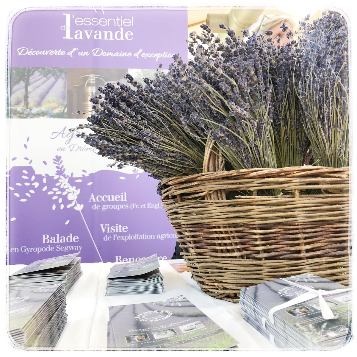 meslavandes's tweet photo. En direct de la bourse aux dépliants du Val de Drôme 😊

Retrouvez nous à Allex dans la salle polyvalente située derrière l’aquarium jusqu’à 16h. 

#lessentieldelavande #dromeprovencale #veneznousvoir #visite #découverte #ballade #massage #soinscosmétiques #lavandebio https://t.co/NxXcdtL3eC