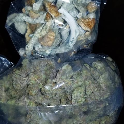 JedidahPuckett's tweet photo. #losangelesweed #illinoiscannabis #hightimes #pennsylvaniacannabiscommunity #utahweed #thc #arizonaweed #washington #highlife #texascannabis #newjerseyweed #marylandcannabiscommunity #seattleweed #buddryer #herbdryer #cannabisculture #newyorkcannabis https://t.co/qlb1adrmxP