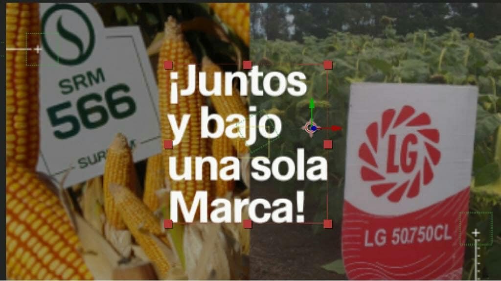 Juntos y bajo una sola Marca!