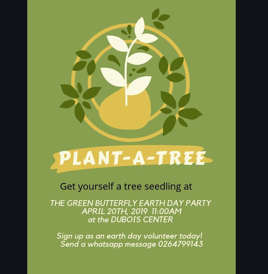 We are greening Ghana! Take action, plant a tree!!! #greening #treeplanting #sustainability #environment #nature #volunteer