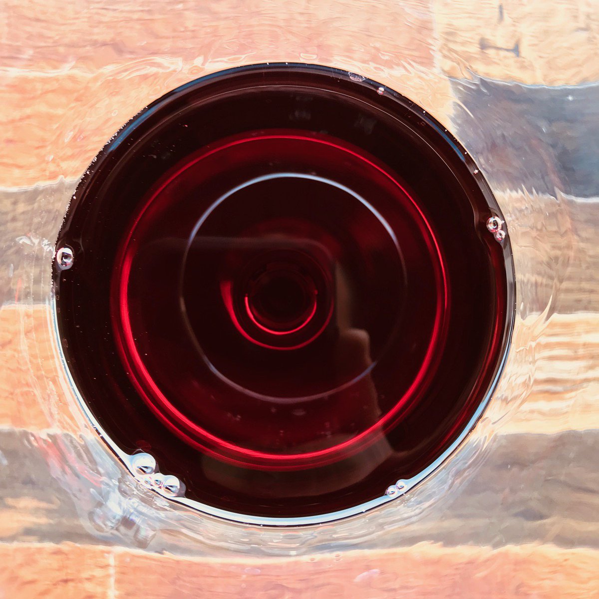 El color del vino tinto en una copa 🍷, Las responsables son las antocianinas.
#vino #wine #vinos #bodega #enoturismo #wine #winelover #winelovers #redwine #sommelier #wines #winelife  #viñedos