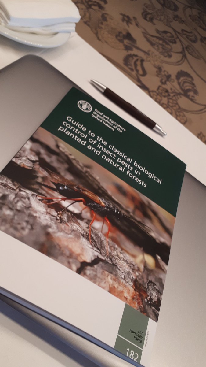 lrmouawad's tweet photo. Official launching of @FAOForestry 's new publication
#MedForest2019 https://t.co/KyMeTUf98b