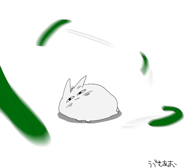 きょむちゃん 