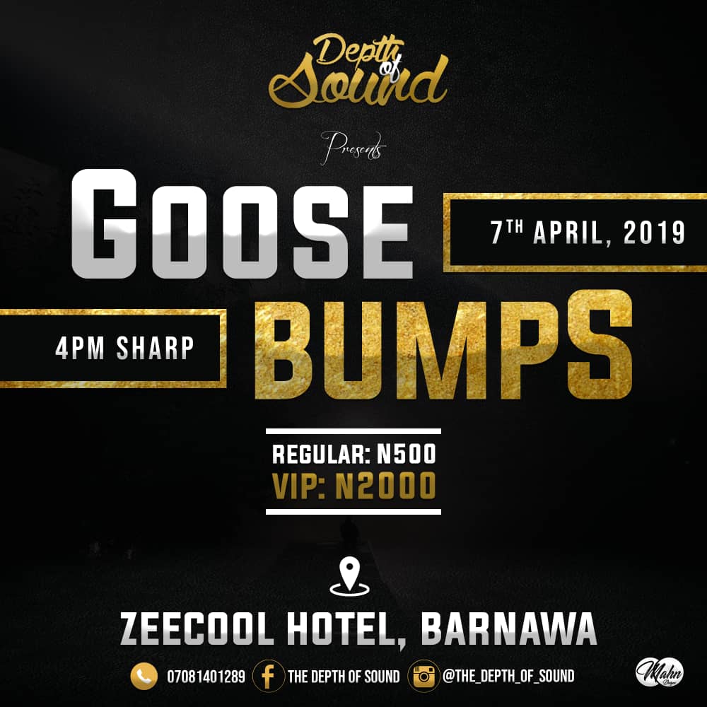 MadeInKrockCity's tweet photo. We are glad to announce to you that  Depth of Sound will be live in Concert in Kaduna City 💥💥💥

Tagged: G O O S E B U M P S

Date: 7th April, 2019 ll 🕓: 4pm
@ Zeecool Hotel, Barnawa, Kaduna

Tickets: N500, N2000 

Come and Xperience Pure Live Music
#Goosebumps @depthofsound https://t.co/EG3IiaxXlQ