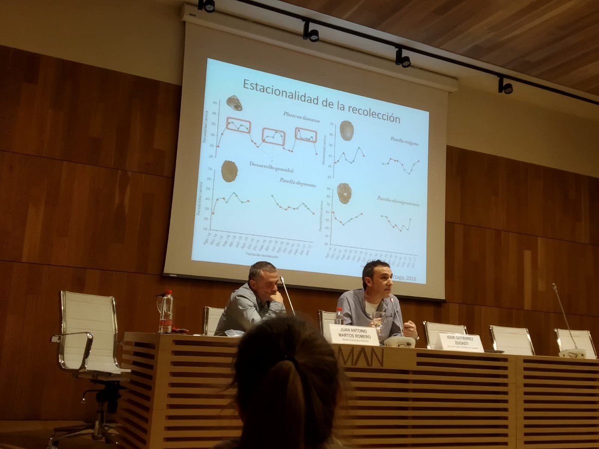 PalaeoshellsUC's tweet photo. Igor Gutierrez talking in @MANArqueologico about the Mesolithic in the Cantabrian region and the Mazo Cave!

#palaeoshells #Archaeology #mesolithic https://t.co/XrMISY2fBs