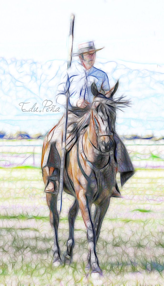 edupenafoto's tweet photo. Jose Miguel Arroyo "Joselito" #garrocha #garrochista #joselito #acosoyderribo #jinete #jinetesvaqueros #CastillaLaMancha #TalaveraDeLaReina #photoshop #surrealismo https://t.co/PqvTrA4Q8i