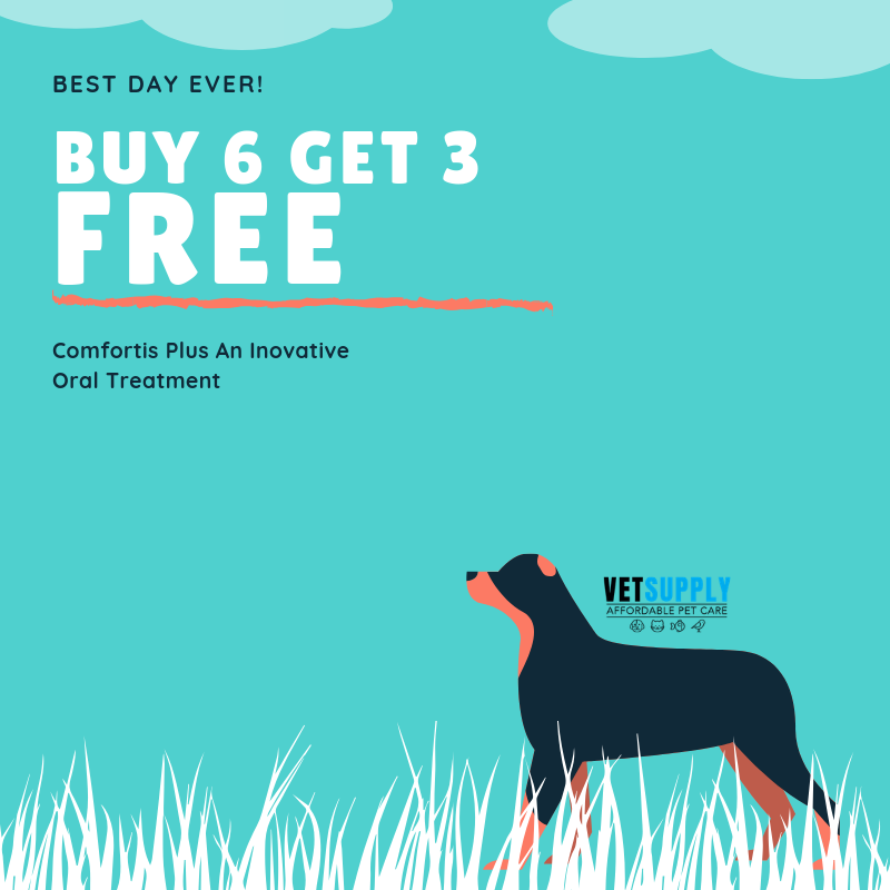 d4discount's tweet photo. Buy 6 Get 3 FREE Comfortis Plus Oral Treatment 

https://t.co/JTKtz5SuYM

#ShawnMendesTheTourVienna #SDGs @POLITICOEurope #D4discount  #PromoCode  #sales #offer  #Codes  #Deals #promotions #freeshipping #Discounts #PetSematary #dogs #treatment https://t.co/UJj9sE0VBS