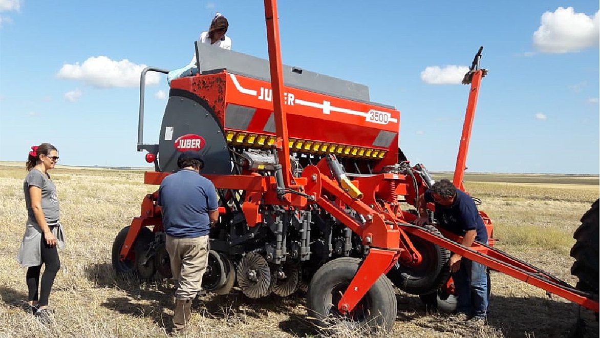 INTABordenave's tweet photo. ⚠️Se #sembró en #campo #Napostá el #módulodemostrativo #verdeosdeinvierno: la #siembra se retrasó por falta de #humedad durante el período de #barbecho. Se evaluarán #cultivarescomerciales de #avenas, #centenos, #cebadasforrajeras y #triticale
Más info 👉🏽https://t.co/VOJ8AKT3hF https://t.co/1sA6Z2SMW3