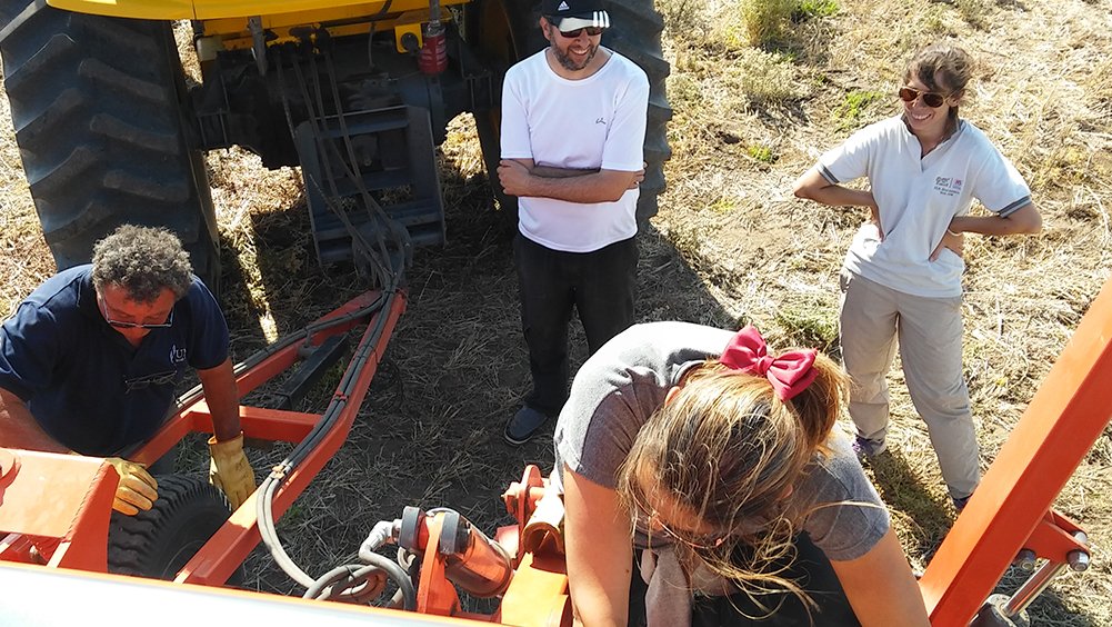 INTABordenave's tweet photo. ⚠️Se #sembró en #campo #Napostá el #módulodemostrativo #verdeosdeinvierno: la #siembra se retrasó por falta de #humedad durante el período de #barbecho. Se evaluarán #cultivarescomerciales de #avenas, #centenos, #cebadasforrajeras y #triticale
Más info 👉🏽https://t.co/VOJ8AKT3hF https://t.co/1sA6Z2SMW3