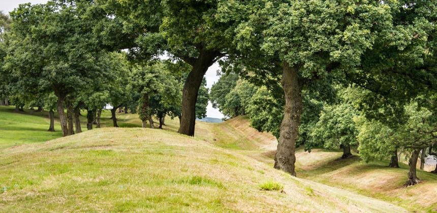 My theory is that exact site is probably around Elf Hill. The dyke in question being the remains of the Antonine Wall.  @AntonineWall