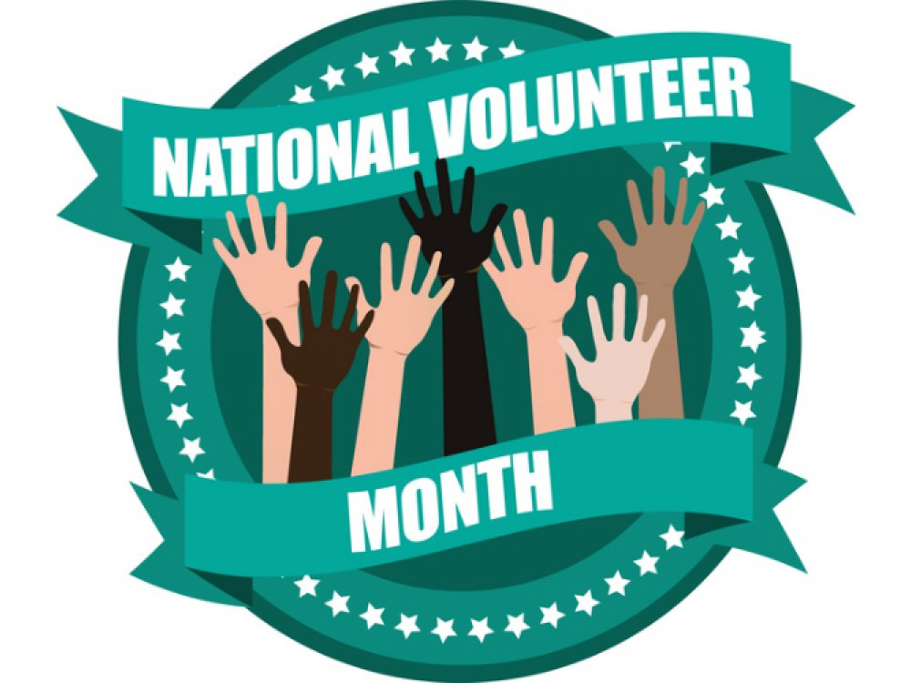 The NETwork National tweet media