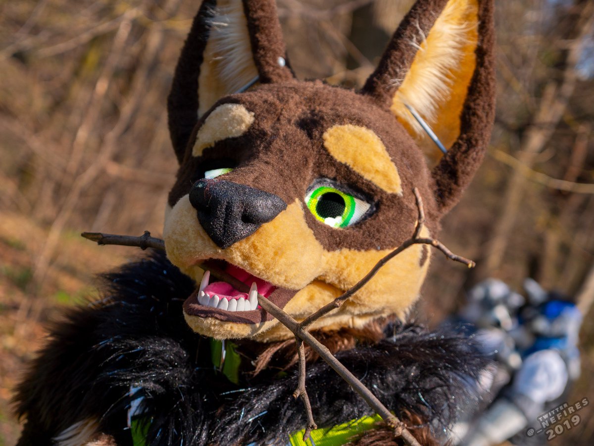 _Nefires's tweet photo. Here are some pictures of the 6th suitwalk in munich^.=.^
1. @AmyliaSmithy
2. @CaptainChaotika
3. @NekoZayah
4. @PaddyTheWoof
#MSW6 @BayernFurs https://t.co/Xxx41sUj1I