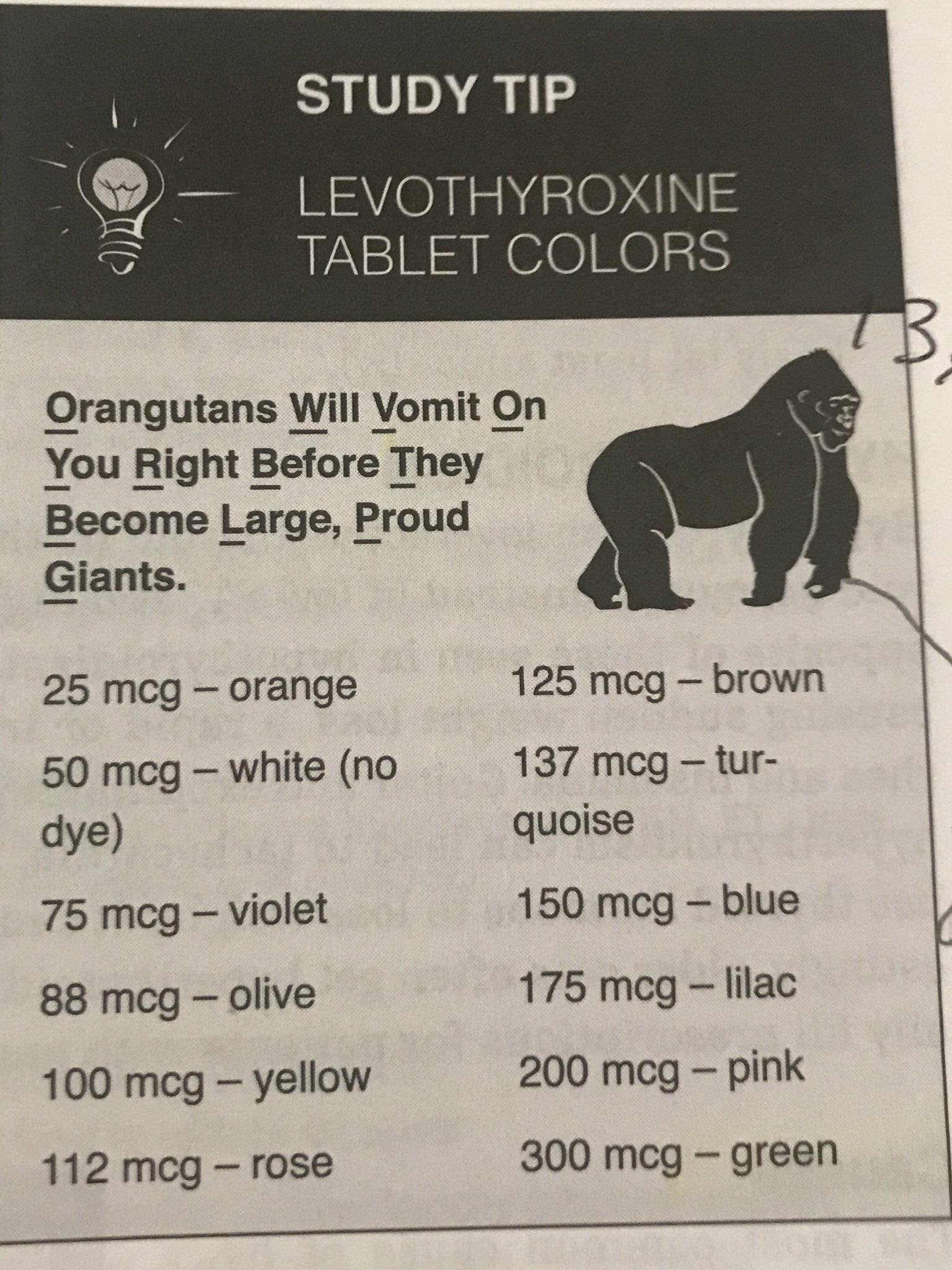 Levothyroxine Colors
