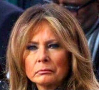 Leaked photo of Melania’s face during intercourse with trump surfaces... It was decided not to leak trumpies face in the interests of people not hurling everywhere...