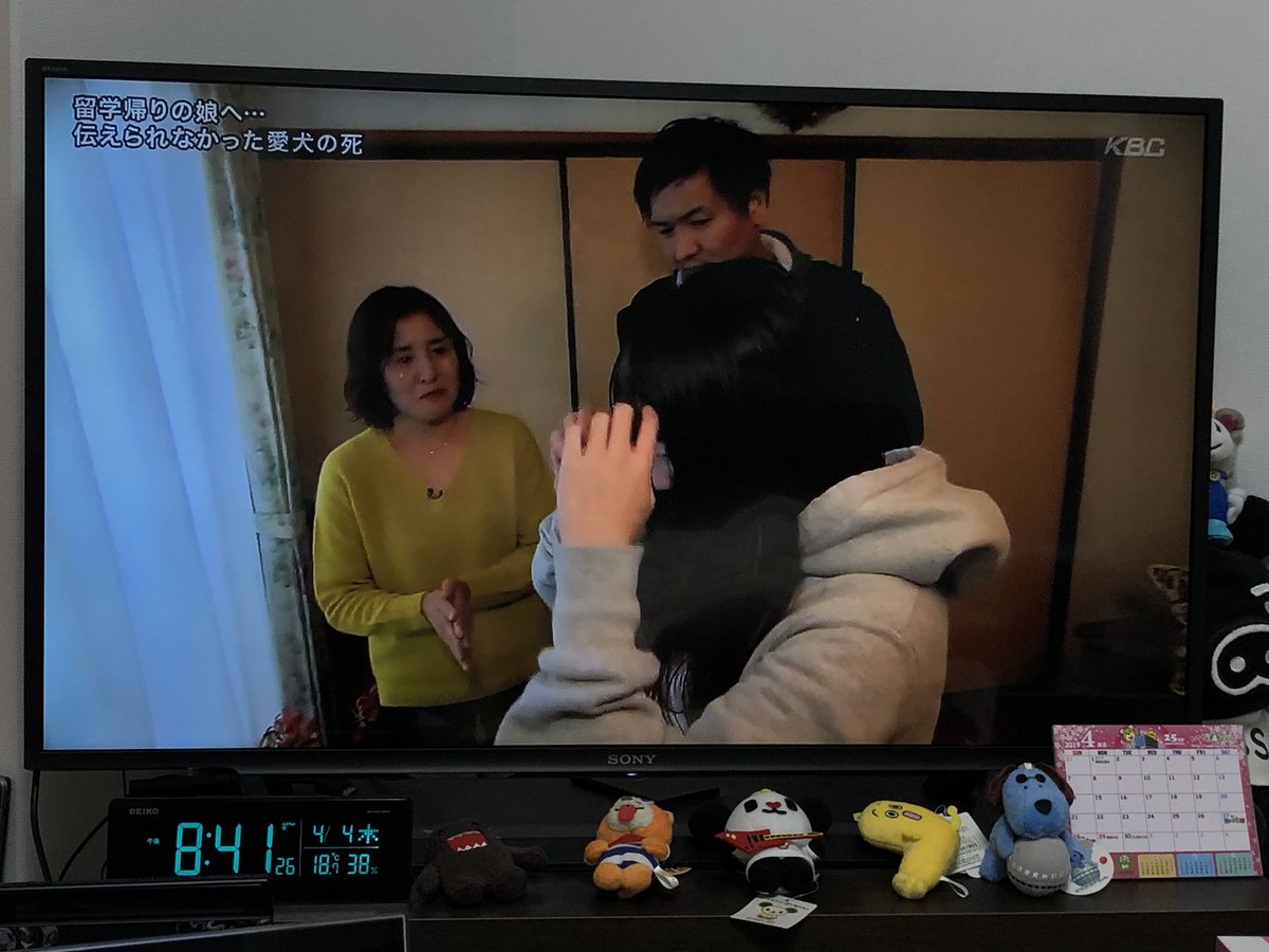 Akm 旧姓 さんのツイート Kbc3 30深夜放送分の探偵ナイトスクープ 留学帰りの娘へ 伝えられなかった愛犬の死 やばかった 酔って見たのもあってボロ泣きしてしまった