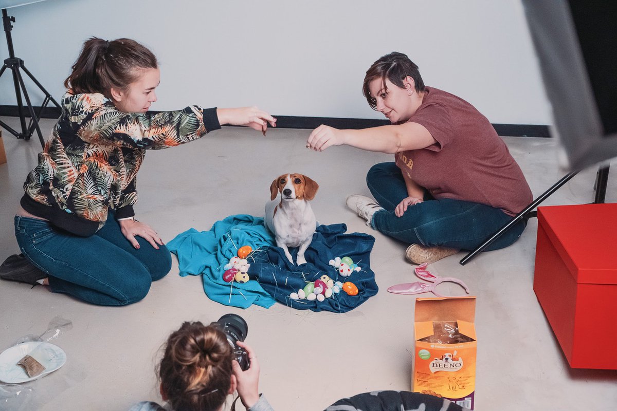 AmokDigital's tweet photo. It’s decided: this is the best photo shoot we’ve ever done. #agencylife #behindthescenes https://t.co/WHbf7zJZAi