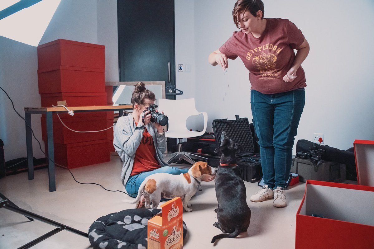 AmokDigital's tweet photo. It’s decided: this is the best photo shoot we’ve ever done. #agencylife #behindthescenes https://t.co/WHbf7zJZAi