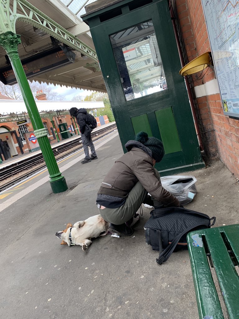AM2PM24's tweet photo. @BTPUnderground central line west bound emptying her jack with peoples belongings got off at Stratford https://t.co/S5i0O0DgAu