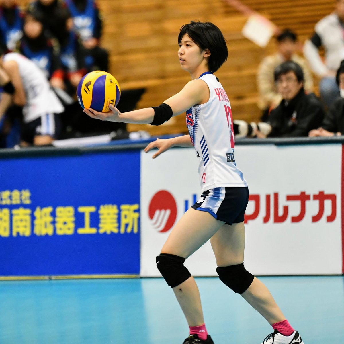 Kabariono3草刈りマヨオ 山下遥香選手 Pfuブルーキャッツ バレーボール Vリーグ Vleague V1リーグ 山下遥香 京都橘大学 T Co Agq0lbeffr Twitter