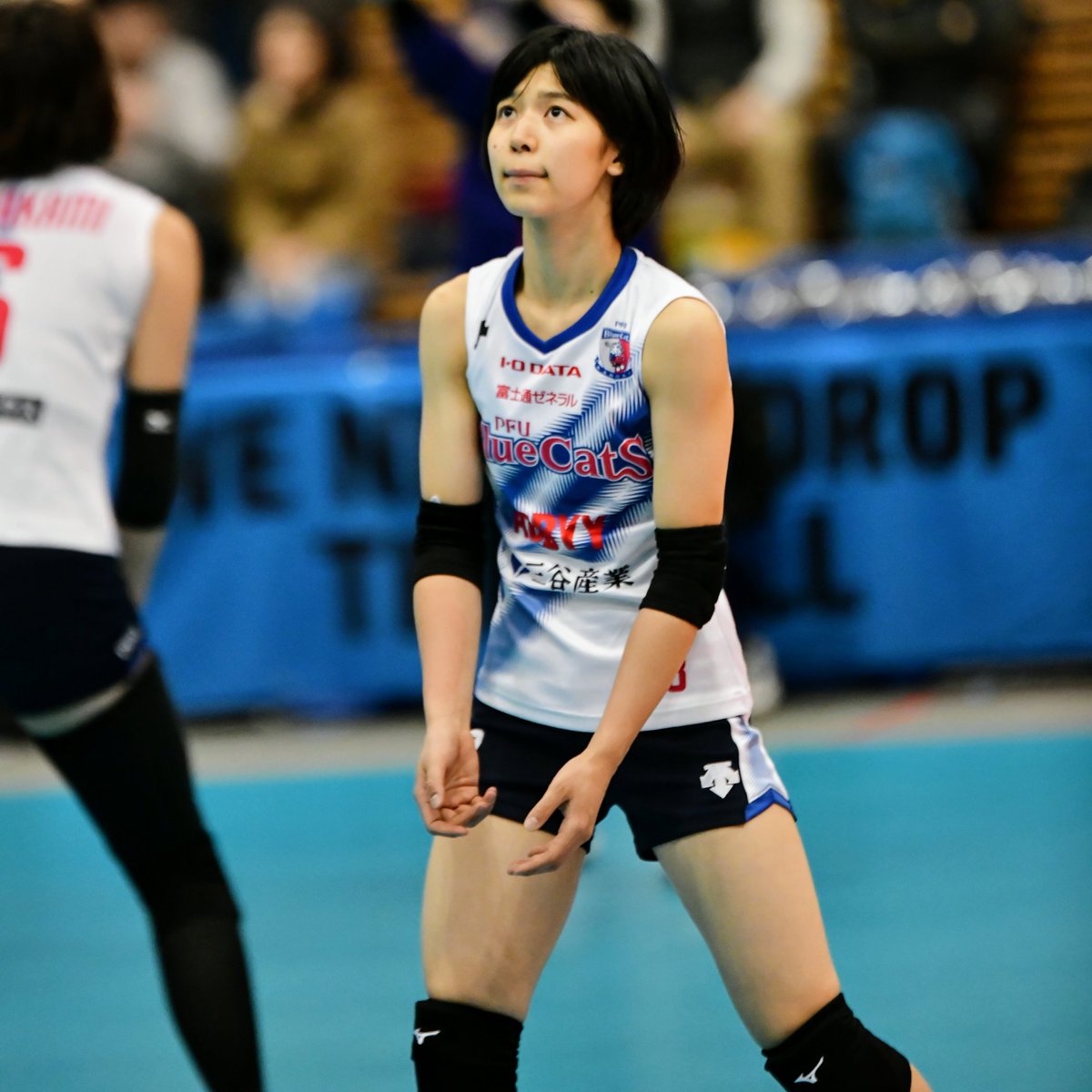 Kabariono3草刈りマヨオ 山下遥香選手 Pfuブルーキャッツ バレーボール Vリーグ Vleague V1リーグ 山下遥香 京都橘大学 T Co Agq0lbeffr Twitter