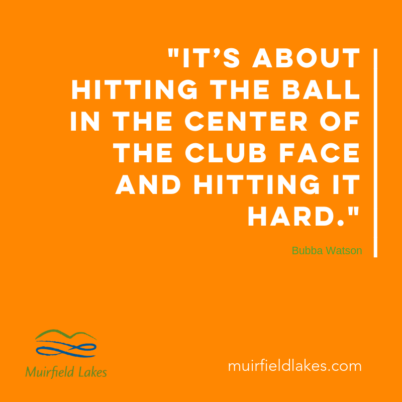 MuirfieldLakes's tweet photo. In case you need a reminder...
.
.
.
.
.
#golfhereforever #muirfieldlakes #lakesofmuirfield #yycgolf #golfyyc #strathmoregolf #chestermeregolf #golfquotes #lifesisbetterwithgolf #golflifestyle https://t.co/S8UJfGT73W