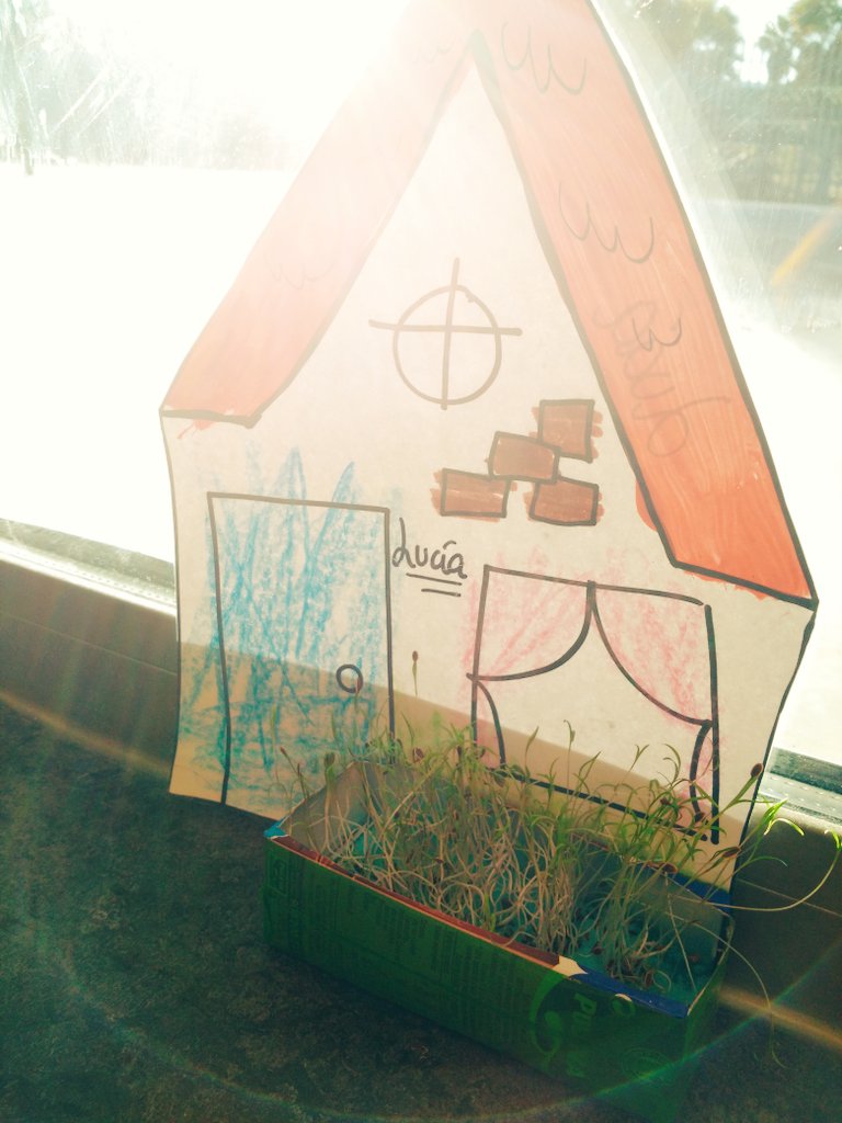 zamudio_paqui's tweet photo. ¡Nuestro jardín botánico! #De0a3 #BabySunland #PTA @MarinaSoto82 #years2 https://t.co/d8ssX0L4NL