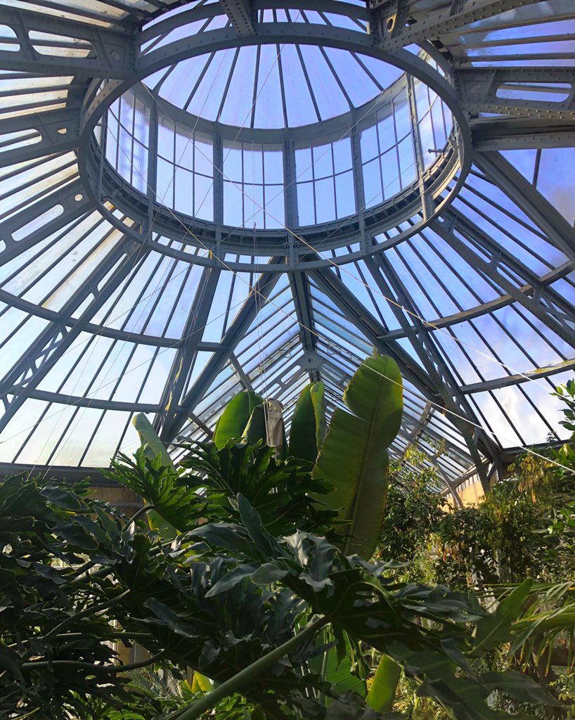 el_ldn's tweet photo. Amsterdam was fun 🌿 
IG: el_ldn https://t.co/QSdOMgr0xK