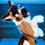 Photo by Tank! (@Tankwoof)