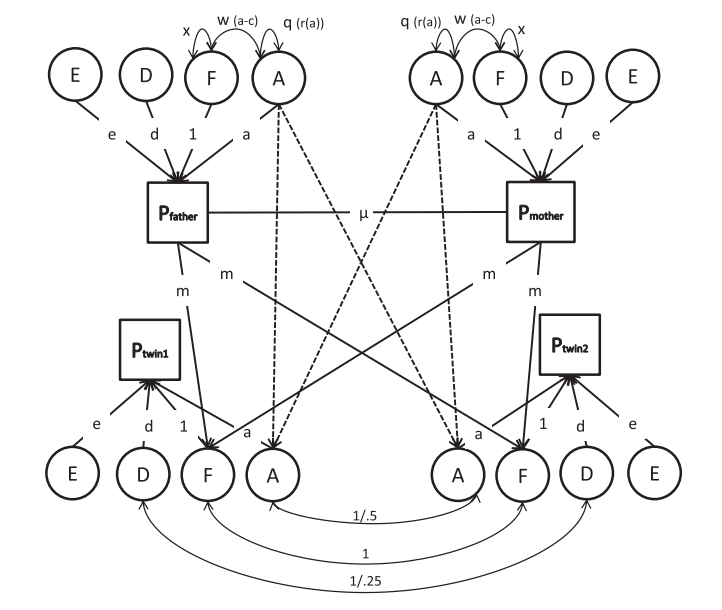 NTRscience's tweet photo. #ThrowbackThursday In this study, @drElsje and others use an extended twin family design to show that individual differences in reading ability are due to genetic factors, finding no evidence for cultural transmission from parents to offspring. More here: https://t.co/6sYYosWyLL https://t.co/cyqtZsJFnc