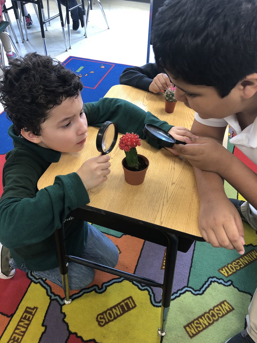 MrGutierrez5's tweet photo. Students observing a cactus adaptation @HBGonzalezES #hbg_senators #borntokick #livetoscore #buildingscholars #superspruce #dallasschools https://t.co/Rm6wPR4iFO
