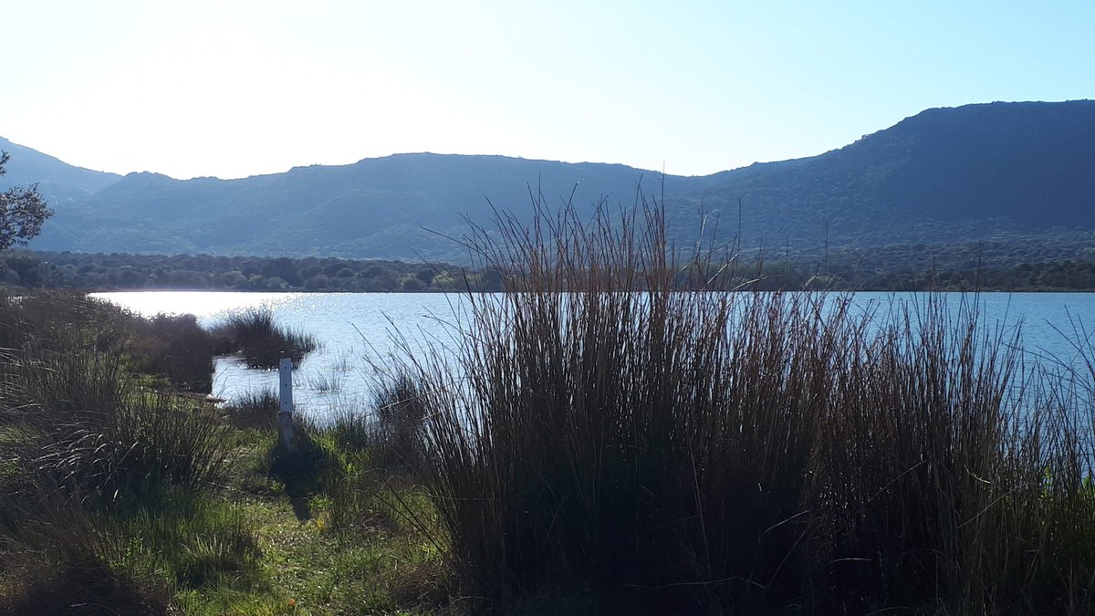otilerousse's tweet photo. Parce que les beautés de L'Ile-Rousse Balagne ne sont pas qu'au bord de mer, nous vous invitons à découvrir Codole, au coeur de la vallée du Reginu, un havre de paix.
#Reginu #Codole #ileroussebalagne https://t.co/yhtbzrDyzK