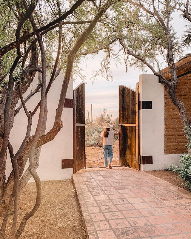 Sara Combs tweet media